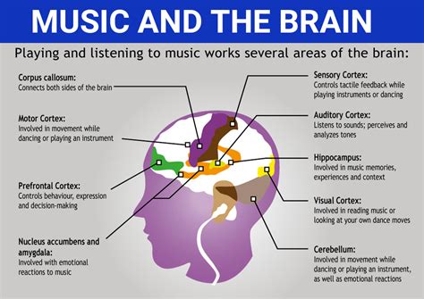 The Science Behind Music's Therapeutic Effects